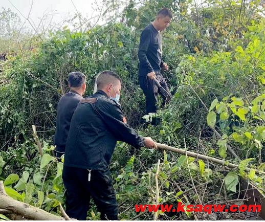 新田煤矿保卫部修枝砍树消除安全隐患