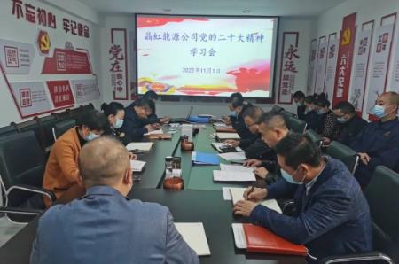 晶虹能源公司：发挥混改优势，企业经营成效显著