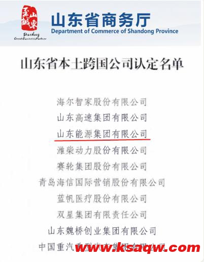 山东能源集团入选首批“山东省本土跨国公司”
