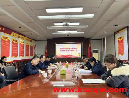 义桥煤矿集团公司资产管理检查督导专班到义桥煤矿检查指导工作