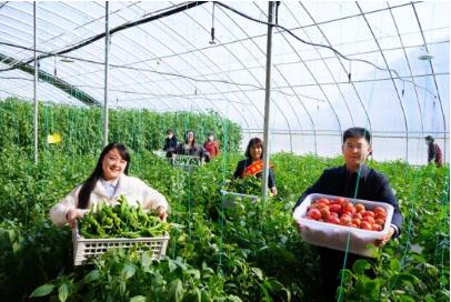 瑞能煤业：共享爱心菜园 采摘春天里的希望