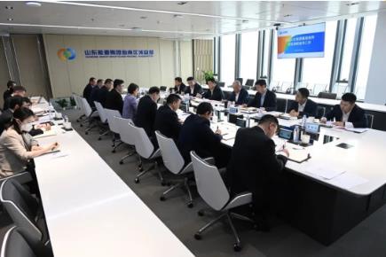 山东能源李伟调研海南智慧国际 着力解决制约发展瓶颈难题