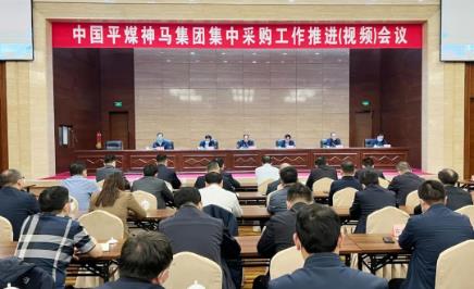 组织收看集团集中采购工作推进（视频）会议