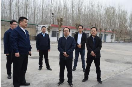 山东省能源监管办到运河煤矿开展调研活动