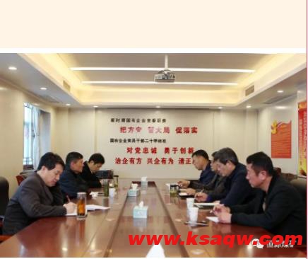 恒源煤矿集团公司到我矿调研征迁环保工作