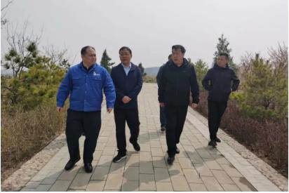 山焦西山官地矿领导督导矸石山环境治理工作