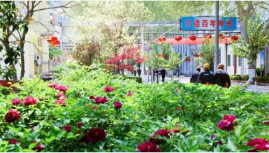 羊东矿精准发力打造“花园式”矿山