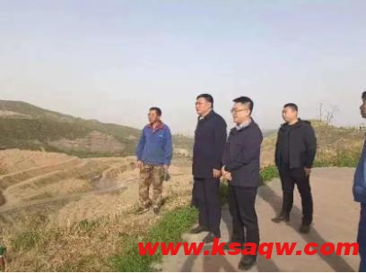 山西焦煤西山煤电总工程师刘海东到杜儿坪矿督导生态环保工作