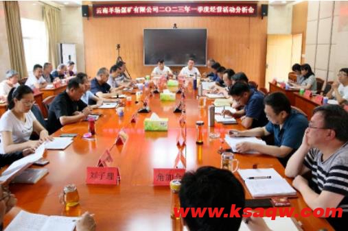 云南羊场煤矿有限公司召开2023年一季度经济活动分析会