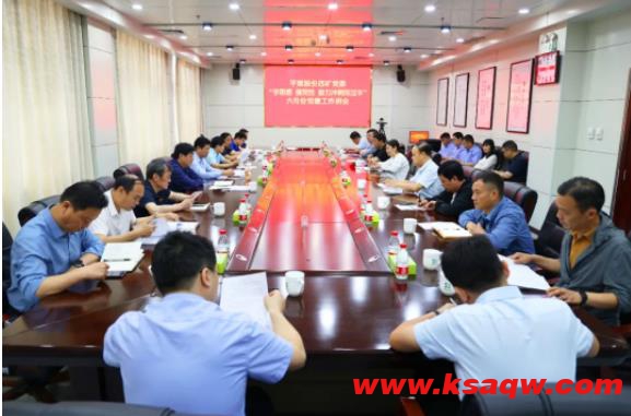四矿召开“学思想 强党性 奋力冲刺双过半”六月份党建工作例会
