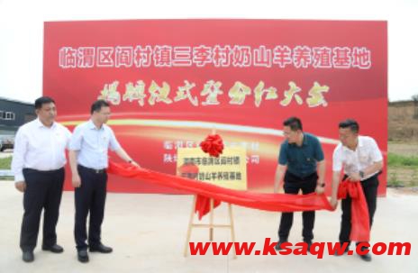 陕煤蒲白矿业：乡村振兴路上让脱贫户发“羊”财