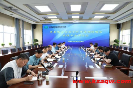 靖煤公司召开景泰煤业白岩子矿井急倾斜煤层采煤方法研讨会