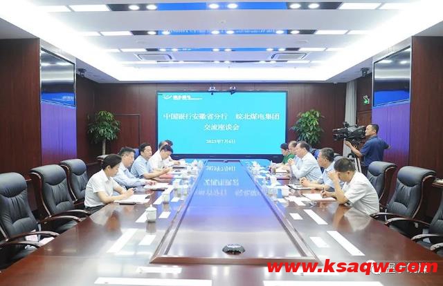 中国银行安徽分行党委书记、行长王才先一行到集团公司走访交流