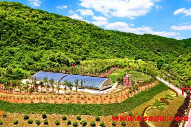 瑞能煤业：将智慧凝于指尖 让绿色溢满矿山