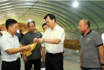 马正兰到河南能源定点帮扶村调研慰问 精准做好定点帮扶工作 助力推进乡村全面振兴